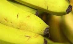 I'm a banana