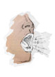 Voice