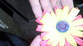 Brooch