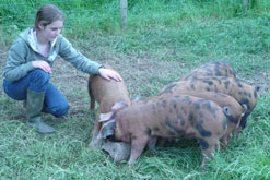 Emma Cianchi and her pigs
