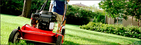Mowing the lawn