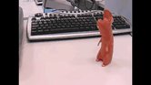 Gerald and Doogle...