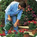 Container watering