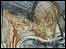 Gallery page - City of York