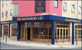 Devonshire Cat