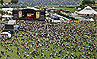 T in the Park: The view from the Big Wheel