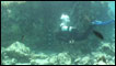 cidade submersa na Grécia