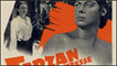 Cartaz de 'Tarzã e a Caçadora', de 1947 (Foto: Sol Lesser Productions, 1947)