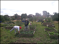 BTCV Volunteers