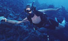 Sports diver