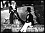 Wiltshire History