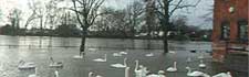Flooding in Worcester near the cathedral