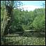 Bradfield Pond