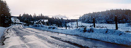 Photo showing a country scene with the last pale colours of daylight .
