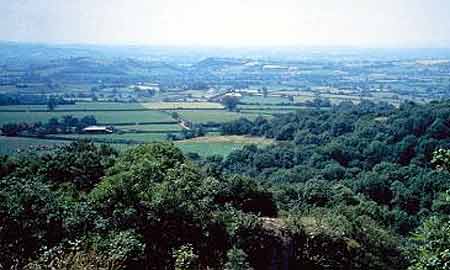 Somerset Levels