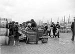 Herring packers