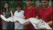 peixe gigante