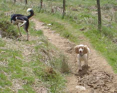 Lilly and Gus
