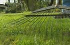 Lawns will be a thing of the past