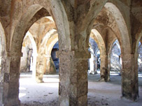 Kilwa great mosque