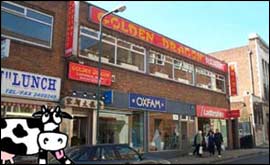 Golden Dragon