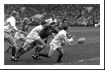 Scotland take on France