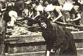 Photo of herring gutters in Stornoway
