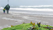 Tywyn beach by the bumblebee