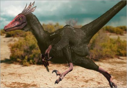 Velociraptor