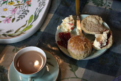 Cream tea