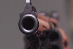 hand gun