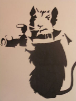 The rat