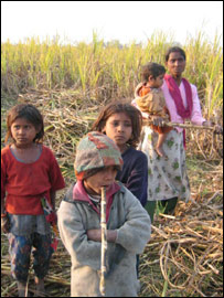 गरीबी