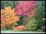 Thorp Perrow Aboretum