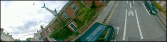 shark house