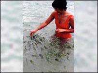 Woman feeding fish.