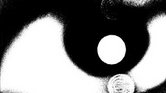 The eye