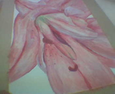 Lily