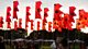 Live music and recorded highlights from the globe's leading festival of world music.