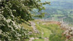 The lovely old Roman road taking down to the village of Rowen