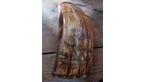Scrimshaw - a Ship and a Mermaid