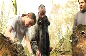 Men selecting wood
