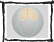 Human brain
