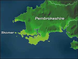 Skomer Island map