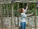 A pergola under construction