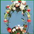 Circular Arrangement