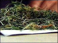 Maconha