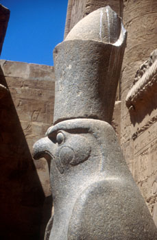 Horus