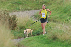 Cani-cross