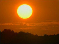 A copse at sunset.